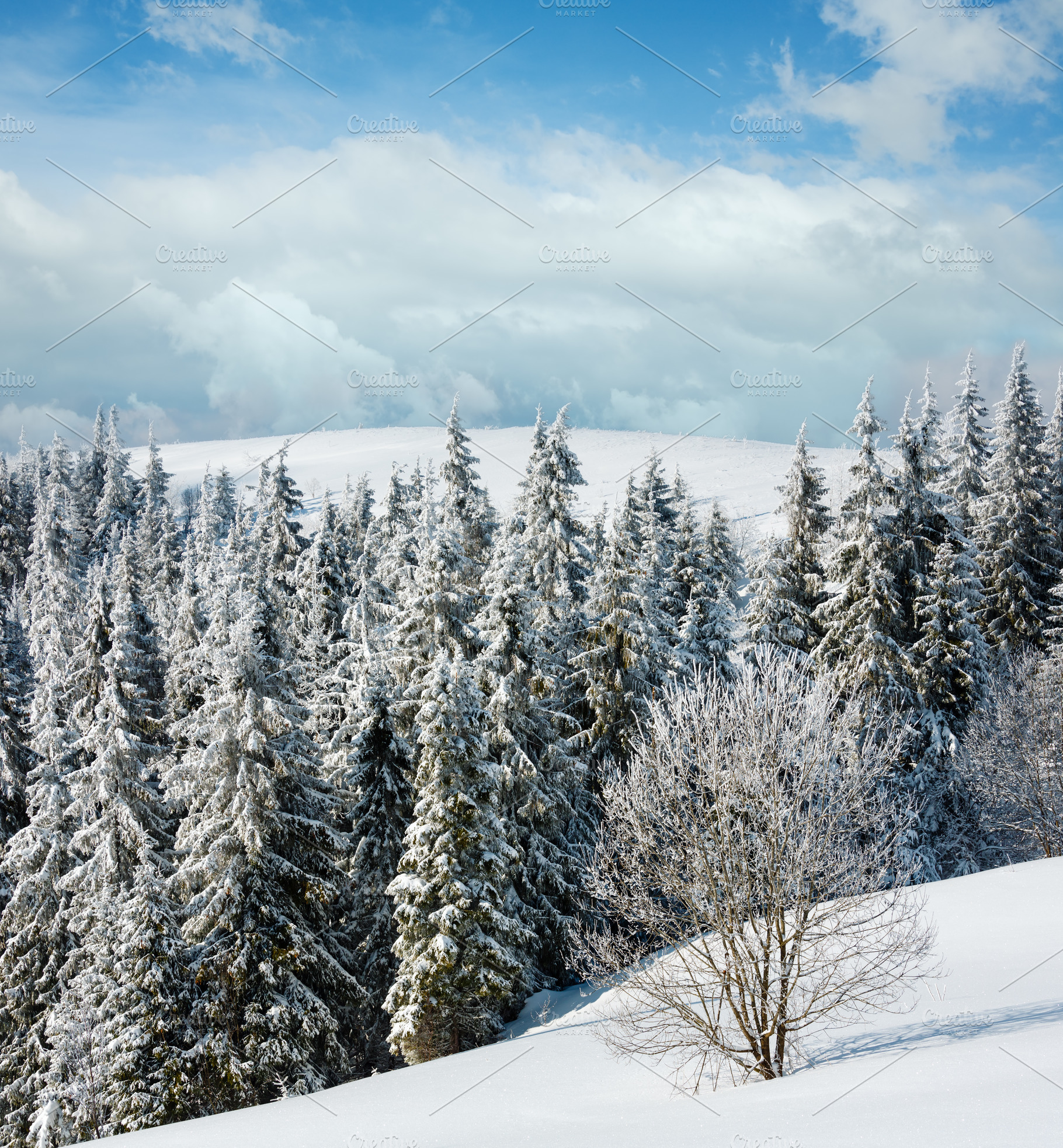 Winter mountain snowy landscape, a Nature Photo by YuriyB