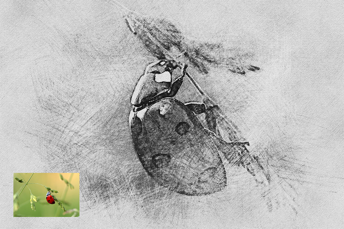 Quick pencil sketch photo effect, an Action Add-On by Shovajit (Photo 2 of 7)