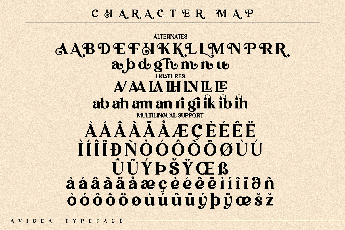Avigea Modern Serif Font Display, a Script Font by Storytype Studio (Photo 9 of 10)