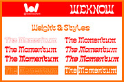 The Momentum font, a Handwritten Font by weknow (Thumbnail 7 of 8)