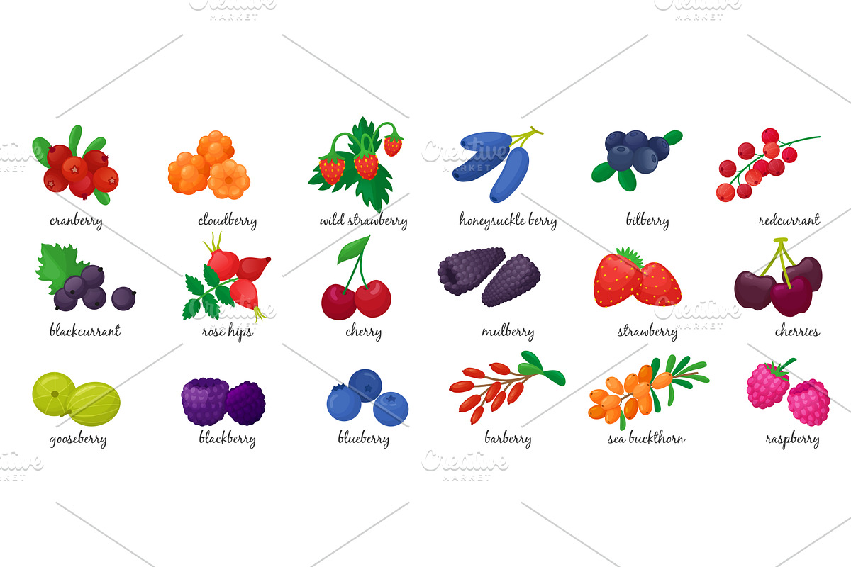 Cartoon fresh berries. Isolated, a Food Illustration by Valerie Bodnar