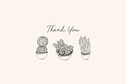 Succulents Vector Illustrations, a Decorative Illustration by Emma Webb Studio (Thumbnail 6 of 6)
