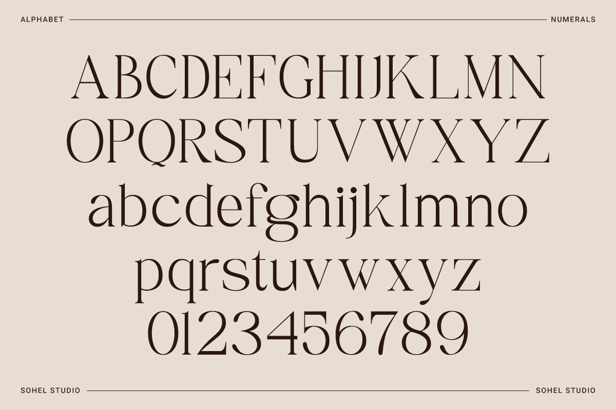 Rameena - Modern Elegant Serif, a Serif Font by Sohel Studio (Photo 9 of 10)