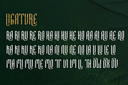 Minimal Nahidha – Minimalist Sans, a Sans Serif Font by Attype (Thumbnail 9 of 11)