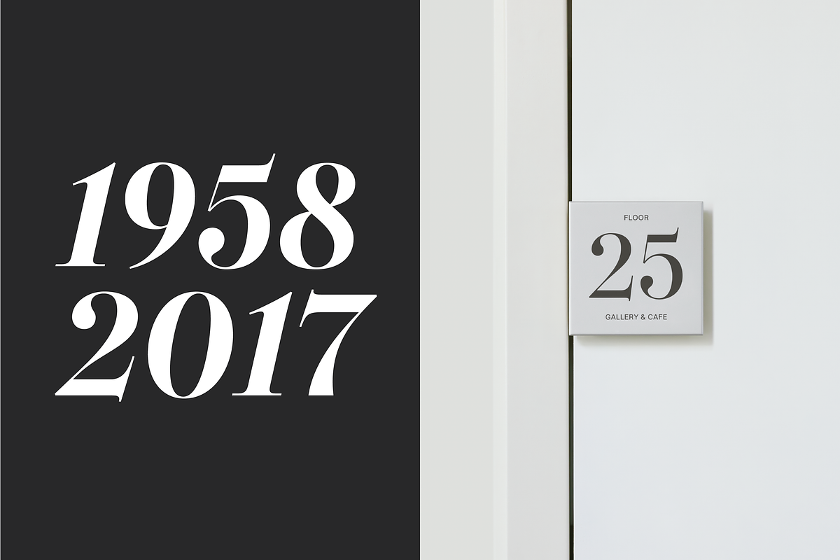 Dupioni - 6 font family, a Serif Font by Silktype (Photo 15 of 21)