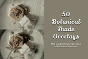 50 Botanical Shade Overlays, a Pattern Graphic by 3Motional (Thumbnail 12 of 17)