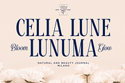 Malta Quarelina - Duo Luxury Font, a Serif Font by Say Studio (Thumbnail 8 of 10)