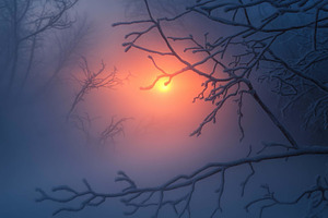 Mysterious winter morning with fog a, a Photo by Tanuart