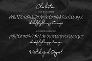 Charleston Handwriting Font, a Script Font by Silverdav (Thumbnail 14 of 15)