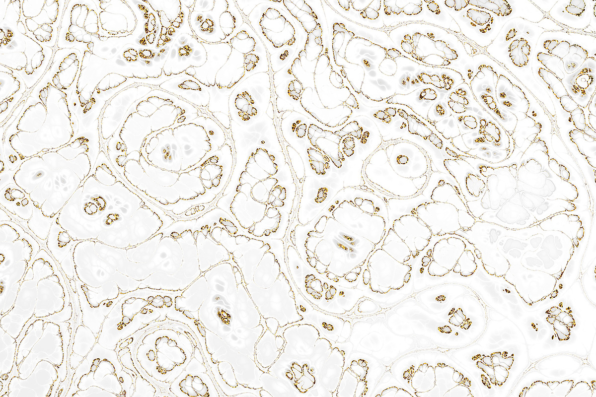 Marble textures 8000 x 8000 px, a Texture Graphic by tkdesign (Photo 3 of 21)