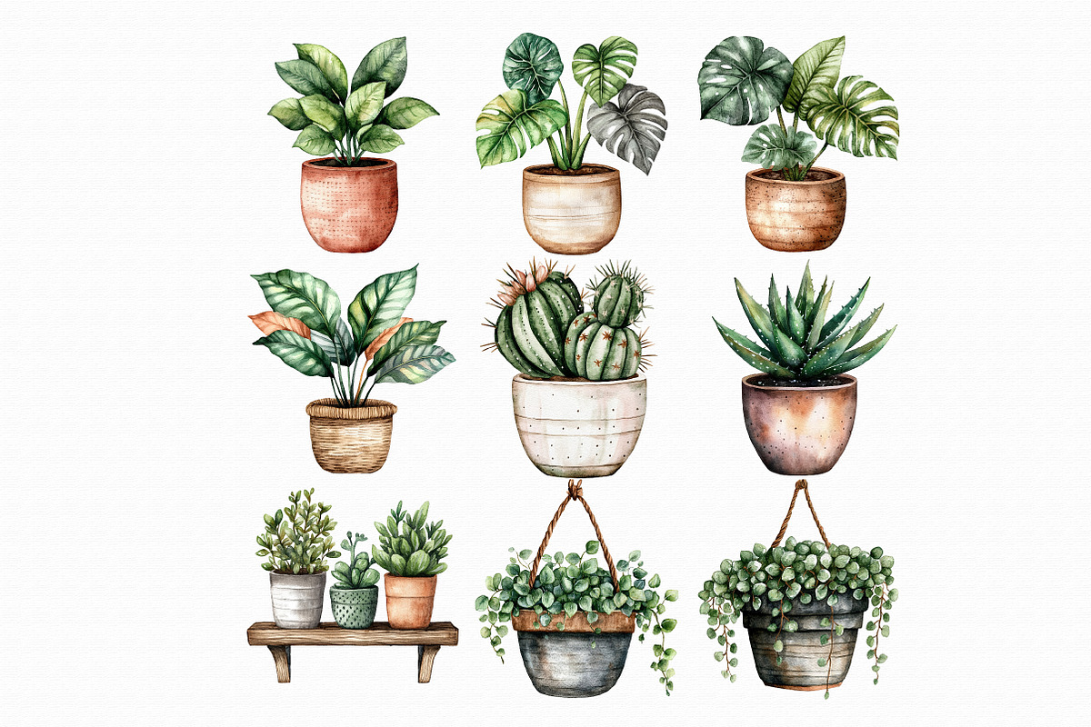 Watercolor Home Plants Clipart, an Illustration by Libby Wishes (Photo 4 of 4)
