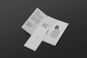 DL Trifold Brochure Mockup Kit