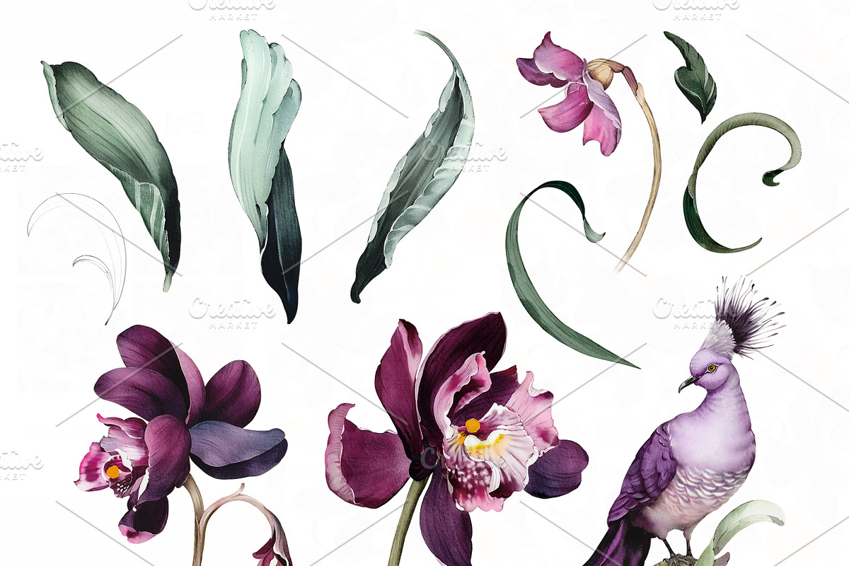 Purple floral pattern, orchids, a Pattern Graphic by Lisima (Photo 14 of 15)