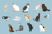 Cat Breeds Clip Art Illustrations, an Illustration by Putnam Road Art (Thumbnail 2 of 3)