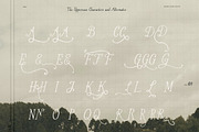 Whimsical Handwritten Serif Font Duo, a Handwritten Font by Laras Wonderland (Thumbnail 6 of 15)