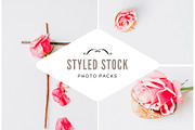 Pack 3 i styled stock stock photo containing minimalist and succulents, a Business Photo by SophieStockBoutique (Thumbnail 1 of 4)
