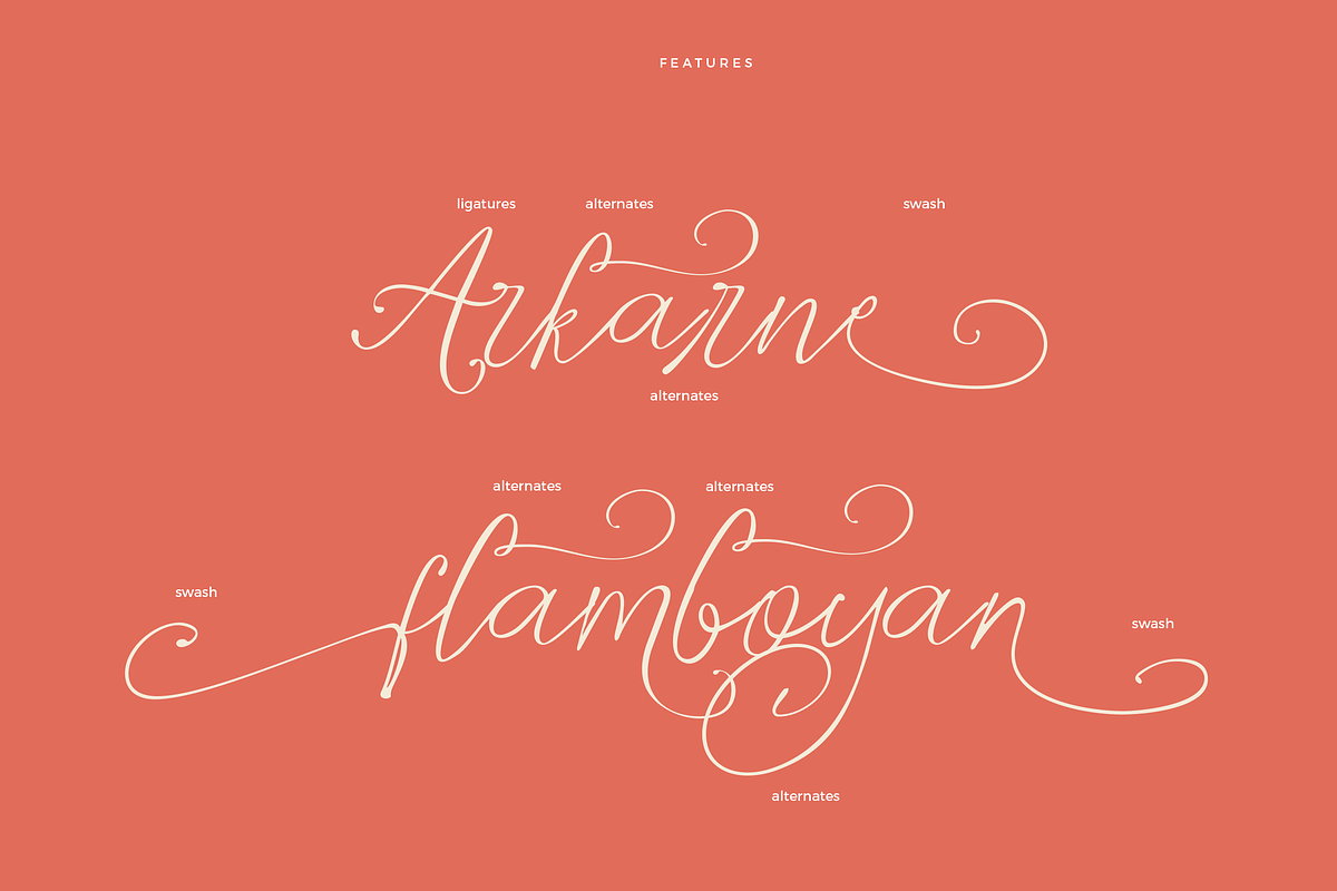 Amora Handmade Written Script, a Script Font by Fortunes Co (Photo 4 of 13)