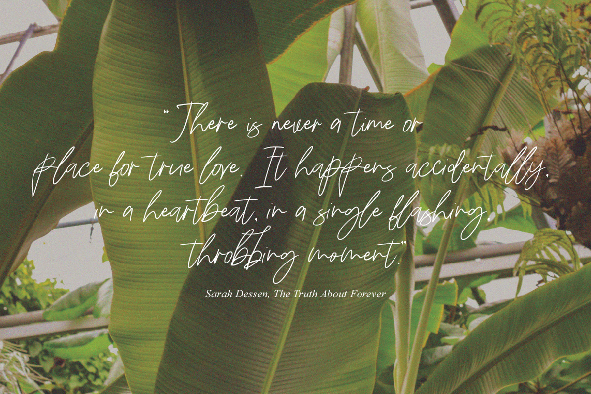 Grimetta - Handwritten Signature, a Handwritten Font by tebaltipislab (Photo 9 of 9)