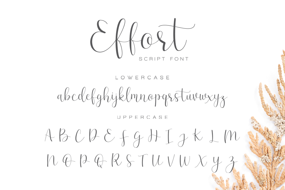 Effort - Calligraphy Font preview 7