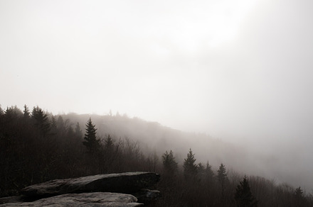 Foggy mountain with trees, a Nature Photo by marybethjones