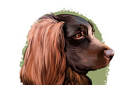 Dogs Pet Portraits Art Print Set 23, an Animal Illustration by Dneprstock (Thumbnail 3 of 5)
