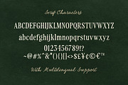 Vintage Serenade - Organic Font Duo, a Serif Font by Bale Type (Thumbnail 12 of 12)
