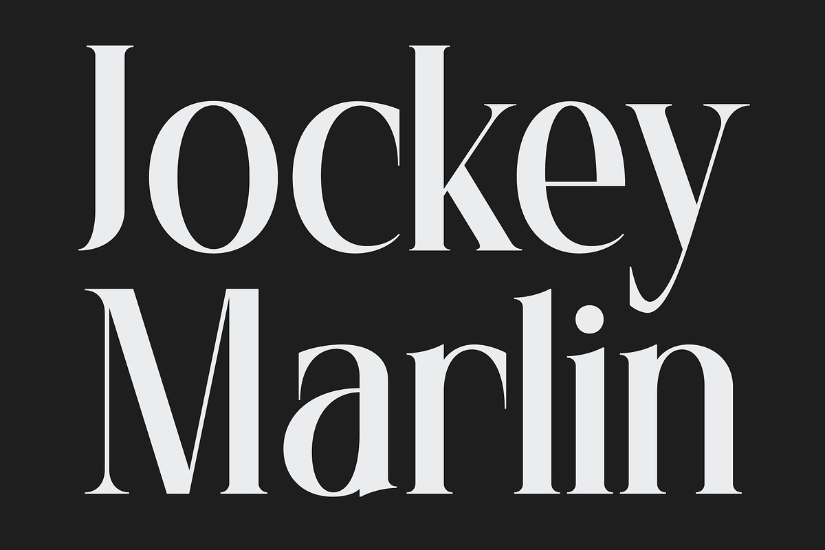 CS Abner – Elegant Serif Font, a Serif Font by Craft Supply Co. (Photo 4 of 8)