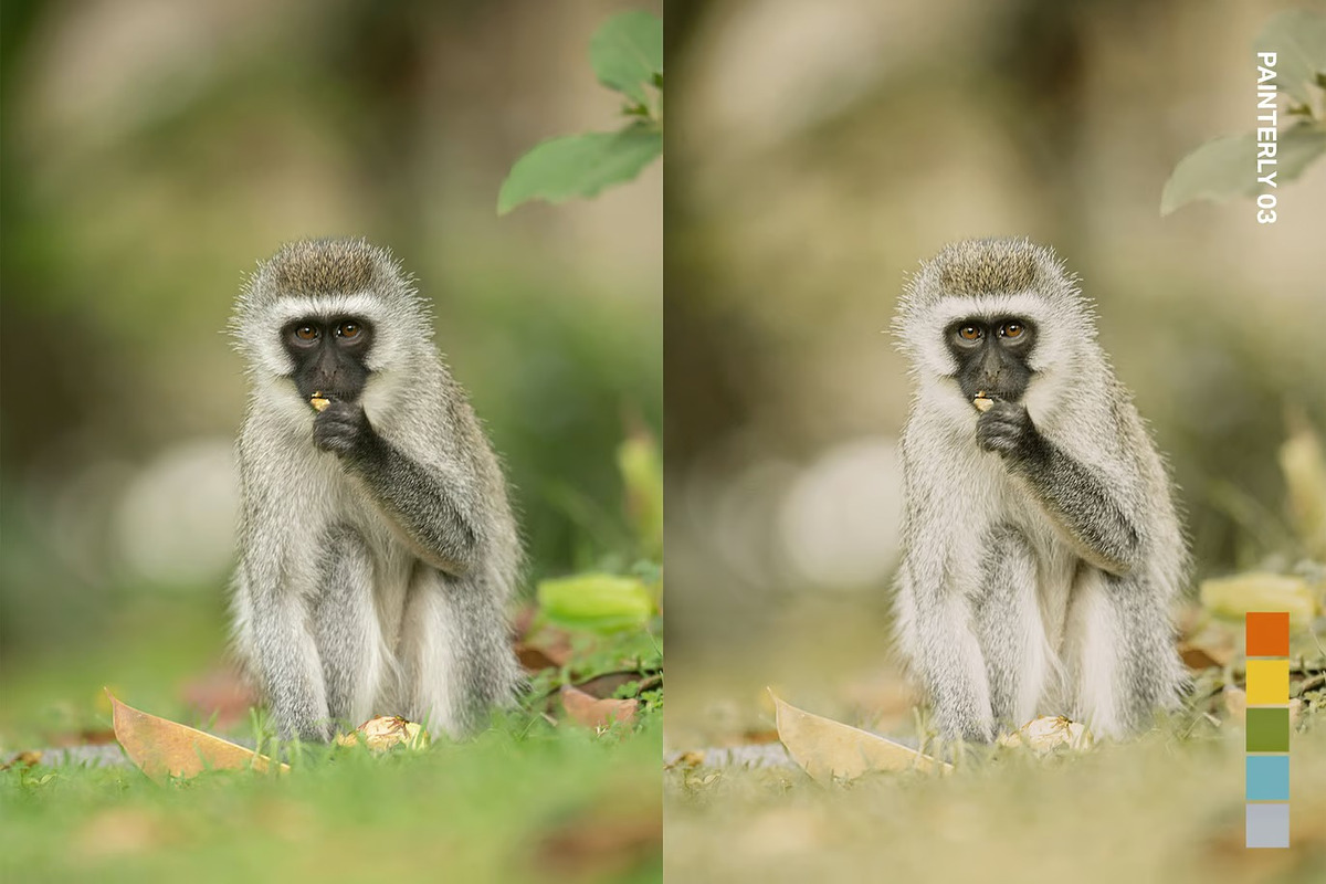 25 Safari Lightroom Presets and LUTs, a Preset Add-On by Hubzway (Photo 4 of 14)