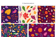 Autumn playful collection, a Seasonal Illustration by MoleskoStudio (Thumbnail 15 of 16)