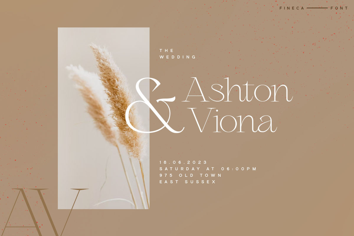 Fineca, a Serif Font by vuuuds (Photo 2 of 10)