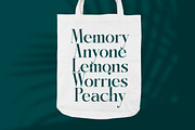 Kozan - Elegant Modern Serif, a Serif Font by timelesstype.co (Thumbnail 15 of 20)