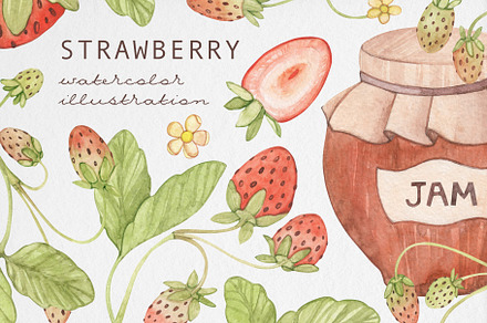 Watercolor Strawberry Illustrations