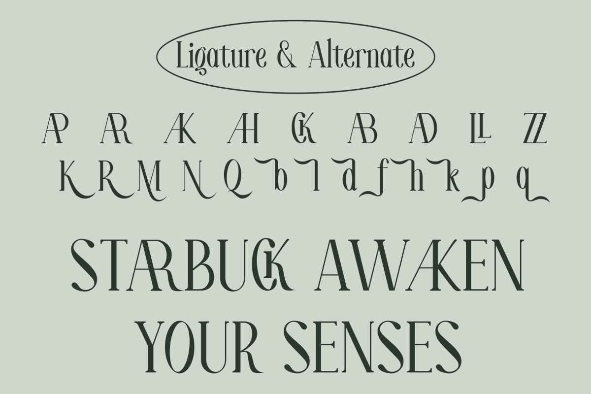 Moelina - A Modern Serif Font, a Serif Font by Marvadesign (Photo 8 of 8)