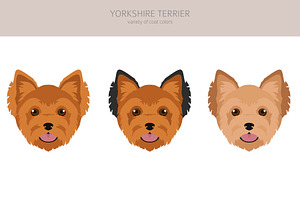 Yorkshire Terrier Clipart