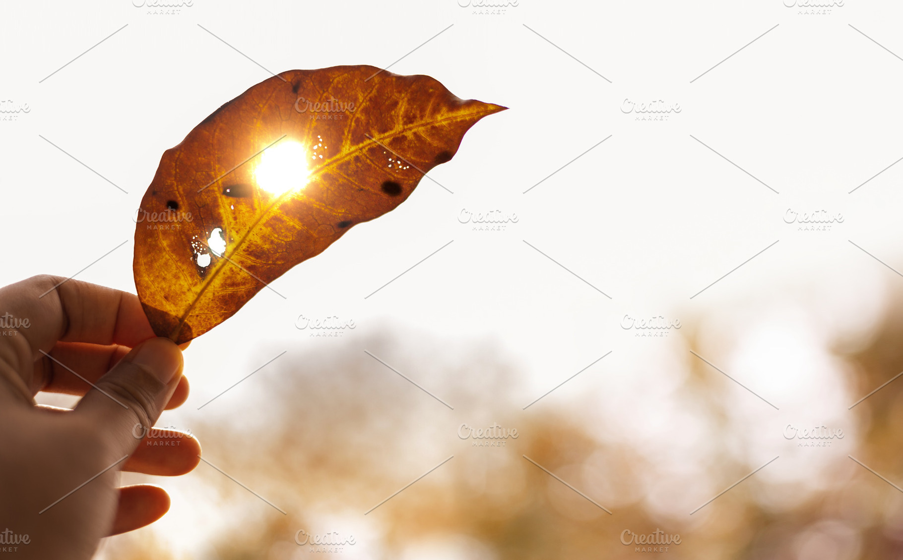 Heatwave extreme weather climate change global warming environme, a Photo by salmon.black