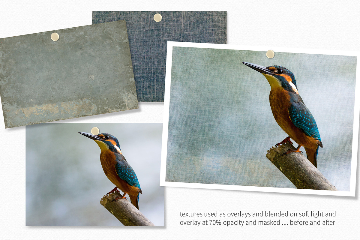 Blue Antique Book Covers