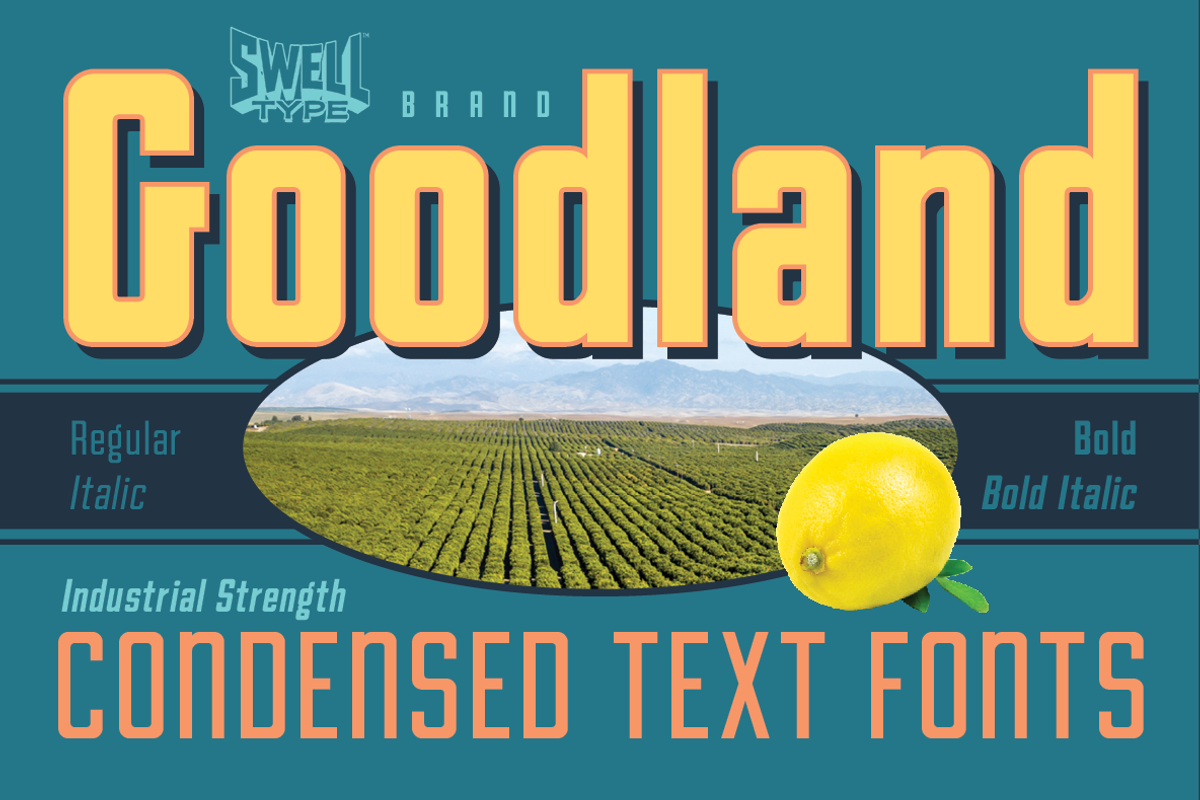 Goodland Condensed Text fonts, a Sans Serif Font by Swell Type (Photo 1 of 6)