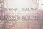 Daybreak Typeface, a Sans Serif Font by MikeHill (Thumbnail 3 of 3)