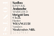 The Chic & Unique Modern Font Bundle, a Sans Serif Font by Tropical Type (Thumbnail 2 of 40)