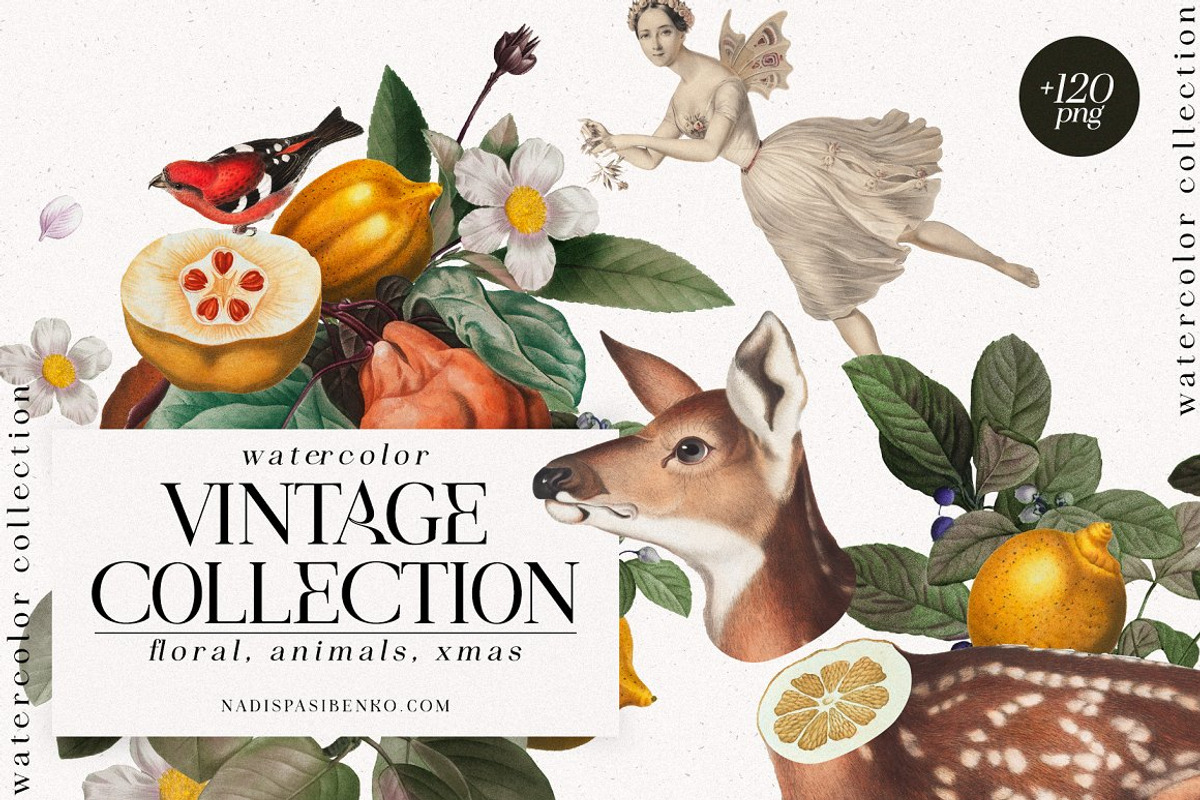 2000+ Collage & Graphic BUNDLE, an Object Graphic by nadispasibenko (Photo 9 of 23)