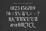 Raslune - Retro Serif Font, a Serif Font by Flawless And Co (Thumbnail 10 of 10)