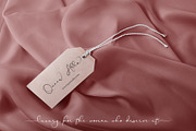 Blanche - Signature Font, a Script Font by erlosDESIGN (Thumbnail 9 of 15)