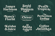 Ranille, a Serif Font by Arterfak Project (Thumbnail 8 of 16)