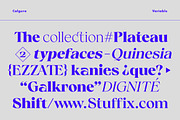 Calgera, a Serif Font by TRF Fonts (Thumbnail 6 of 16)