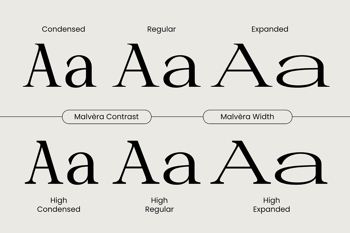 Malvera, a Serif Font by Black Studio (Photo 3 of 16)