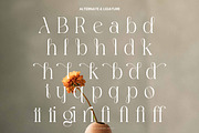 Agifted - Elegant Serif Font, a Serif Font by Flawless And Co (Thumbnail 10 of 10)