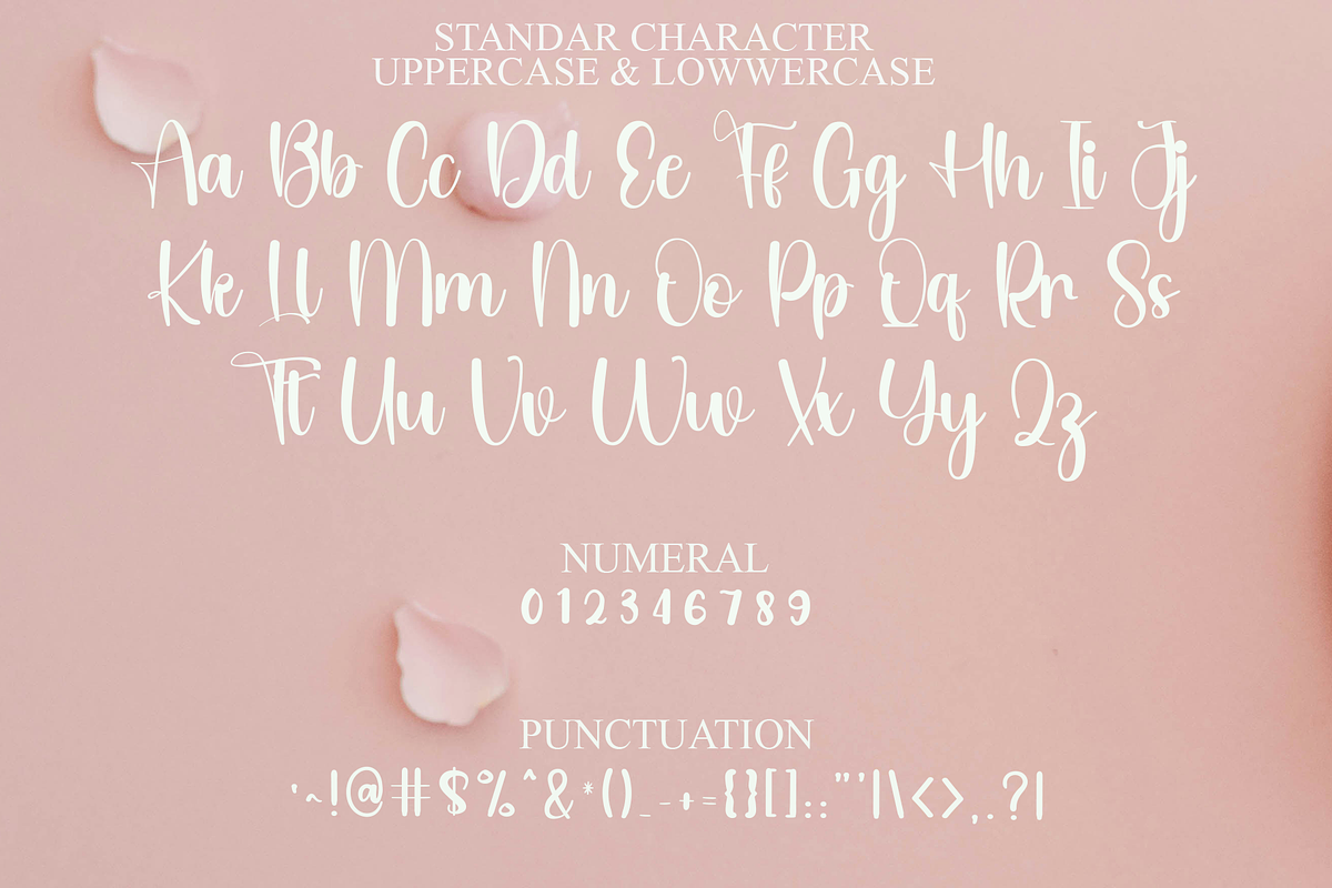 Sligature, a Font by FreshTypeINK (Photo 2 of 8)