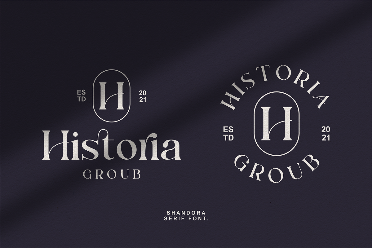 Shandora a Modern Serif Font, a Serif Font by Vilogsign (Photo 3 of 15)