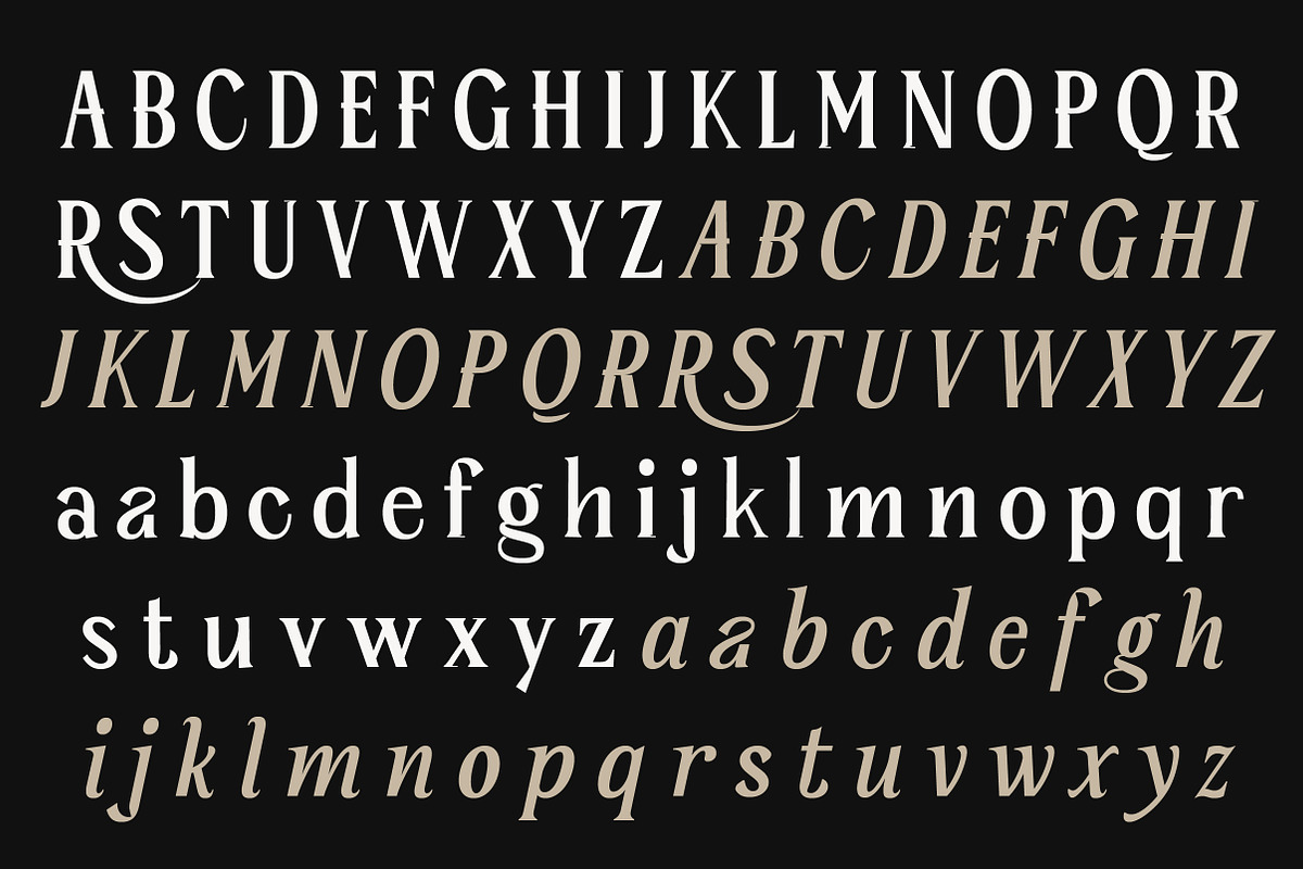 Serelia Serif Family | Intro 60% OFF, a Serif Font by Lettertype Studio (Photo 15 of 17)