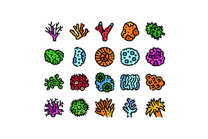 Colorful coral and underwater marine, an Animal Illustration by pikepicture